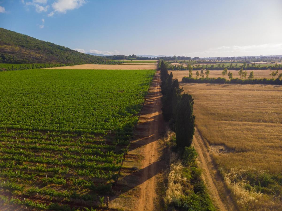 Antica Fattoria La Parrina Villa Orbetello Dış mekan fotoğraf