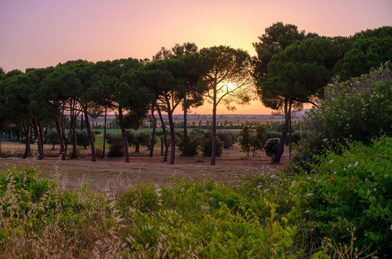 Antica Fattoria La Parrina Villa Orbetello Dış mekan fotoğraf